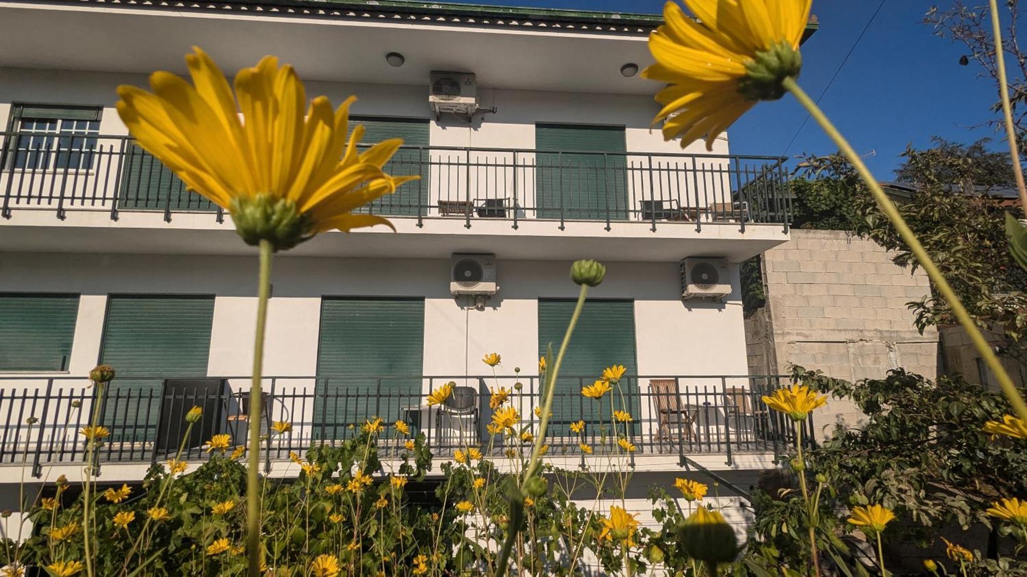Hotel Casa Do Olival Peso da Régua Zewnętrze zdjęcie