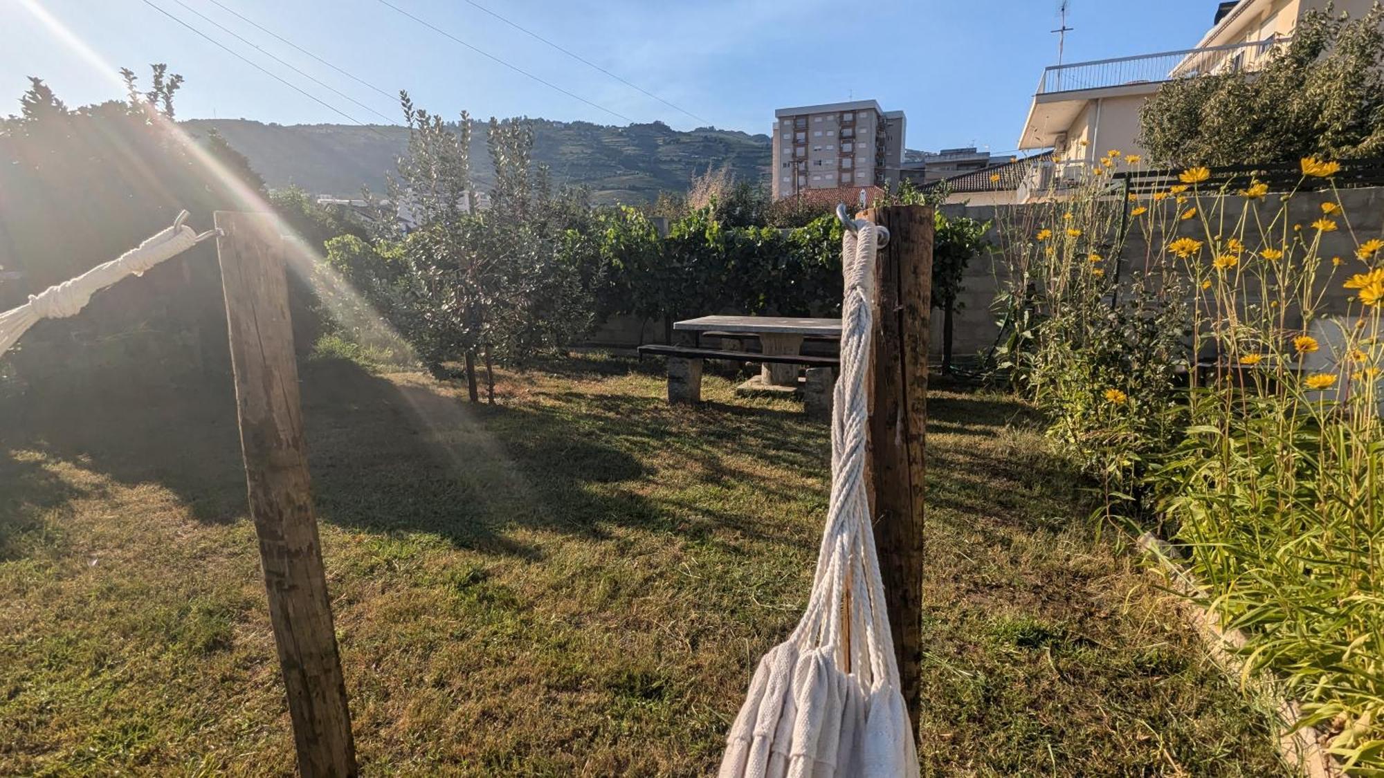 Hotel Casa Do Olival Peso da Régua Zewnętrze zdjęcie