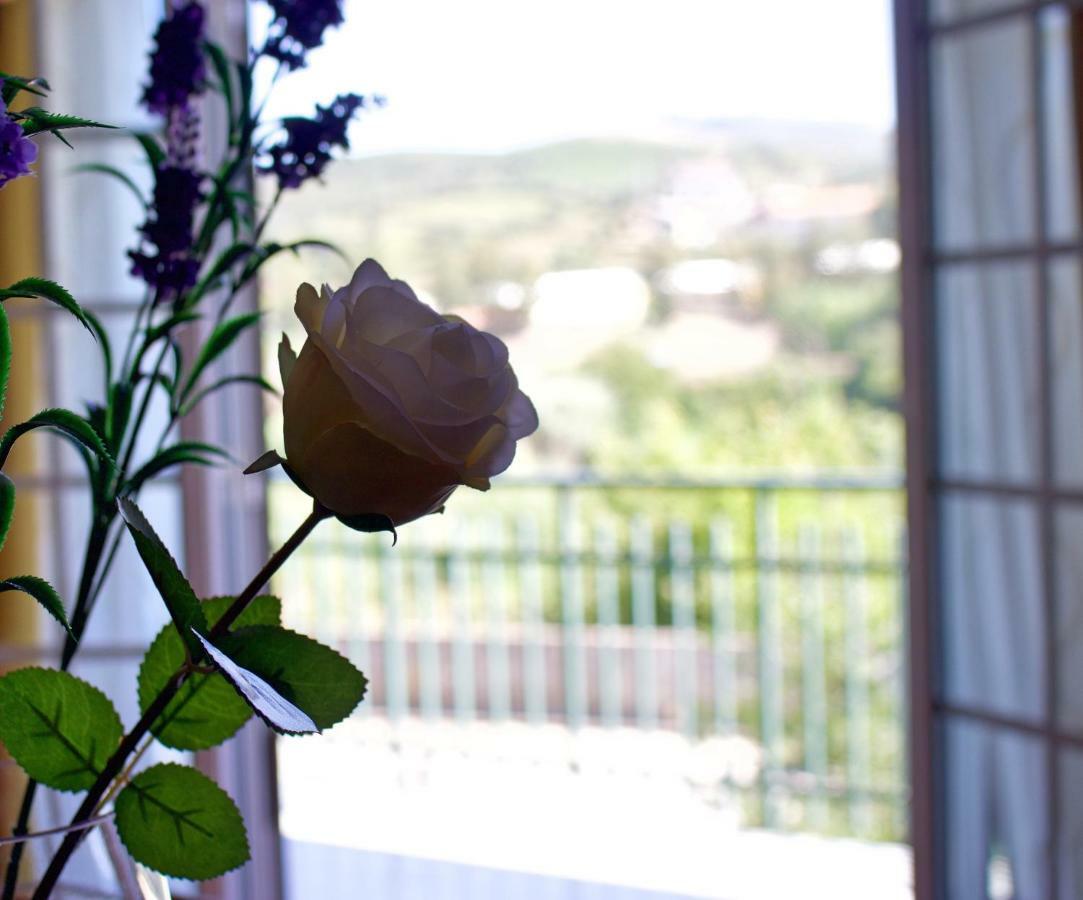 Hotel Casa Do Olival Peso da Régua Zewnętrze zdjęcie
